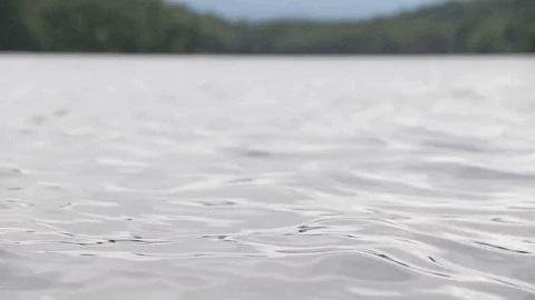 Calm Moving Water Loop GIF
