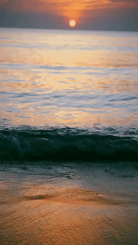 Calm Water And Happy August GIF