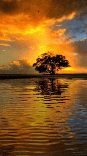 Calming Lake Water Sunset Sky GIF