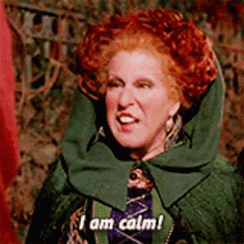 Calming Sarcastic Witch Winifred Sanderson GIF