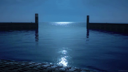Calming Silence Night GIF