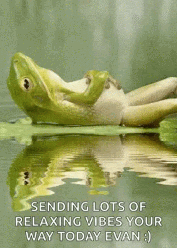Calming Water Relax Frog GIF