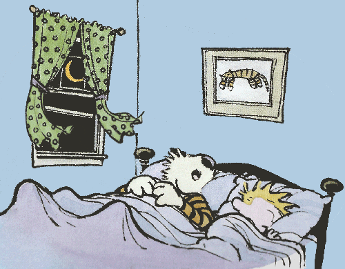 Calvin And Hobbes Best Friends Sleep GIF