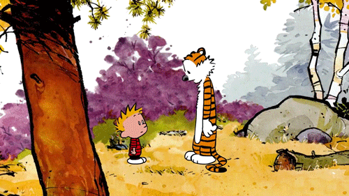 Calvin And Hobbes Confused In Forest GIF