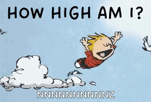 Calvin And Hobbes Flying How High Am I GIF