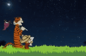 Calvin And Hobbes Shooting Star Night GIF