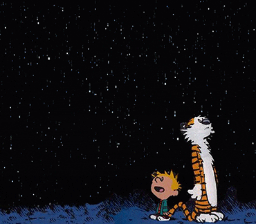 Calvin And Hobbes Starry Night Sky GIF