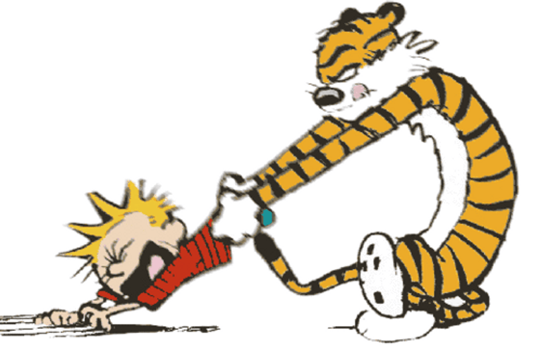 Calvin And Hobbes Tiger Drags Boy GIF 