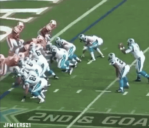Cam Newton Kick Off Scuffle Nfl GIF