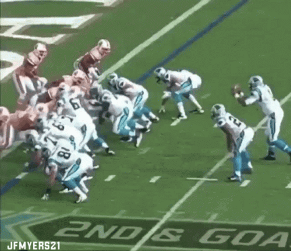 Cam Newton Kick Off Scuffle NFL GIF