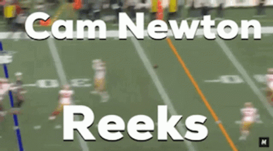 Cam Newton Reeks Meme NFL GIF