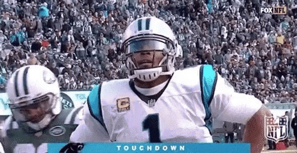 Cam Newton Touchdown Deep Breath GIF