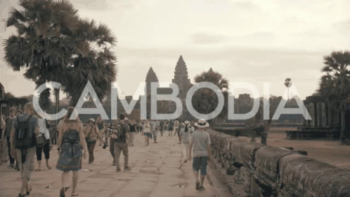 Cambodia Angkor Siem Reap Tour GIF