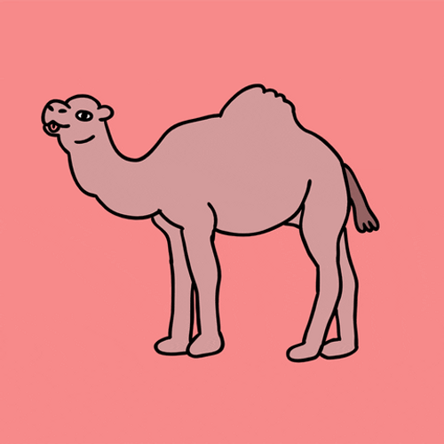 Camel Party Mood Dance GIF 