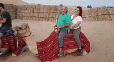 Camel Ride Heavy Couple GIF