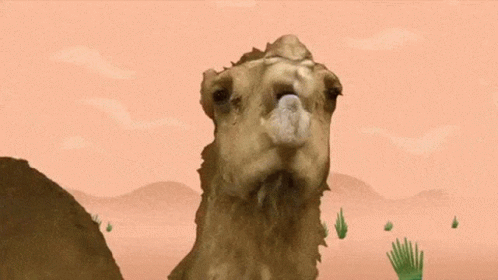Camel Walk Funny Animation GIF