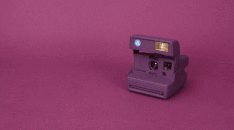 Camera purple polaroid gif.