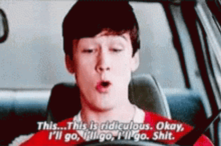 Cameron Frye Ferris Bueller GIF