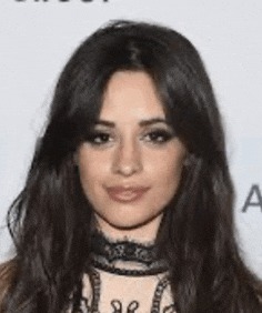 Camila Cabello Meme GIF