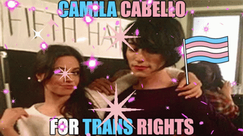 Camila Cabello Trans Rights Poster Man And Woman Standing GIF