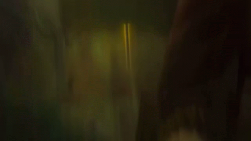 Camilo Madrigal Shapeshift Bruno GIF
