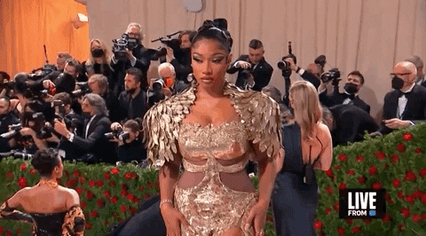 Met Gala Megan Thee Moves GIF