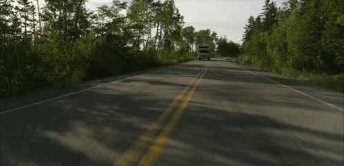 Camper Driving on Road With Trees