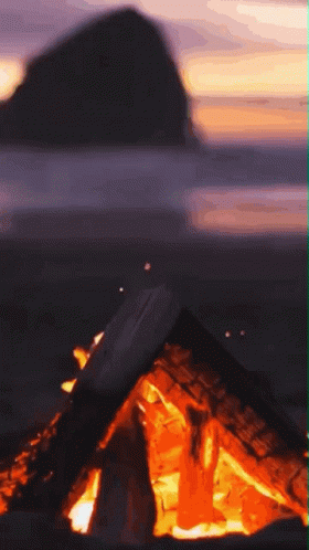 Illuminating Seaside Sunset Campfire GIF