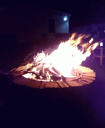 Cozy Strong Backyard Campfire GIF