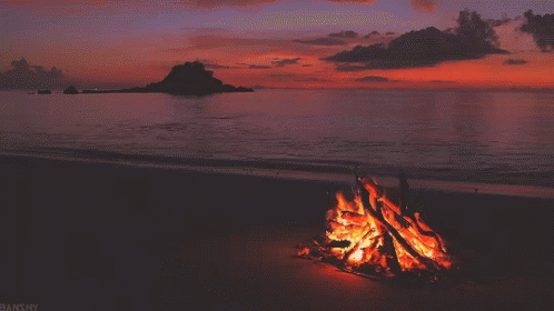 Comforting Campfire Beach Sunset Sky GIF