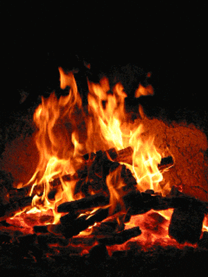 Campfire Bonfire Burning GIF