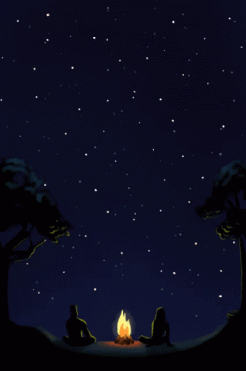 Campfire Under Night Stars GIF
