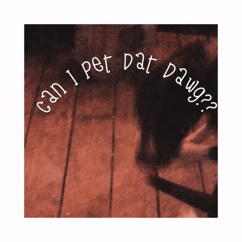 Can I Pet Dat Dawg Dog