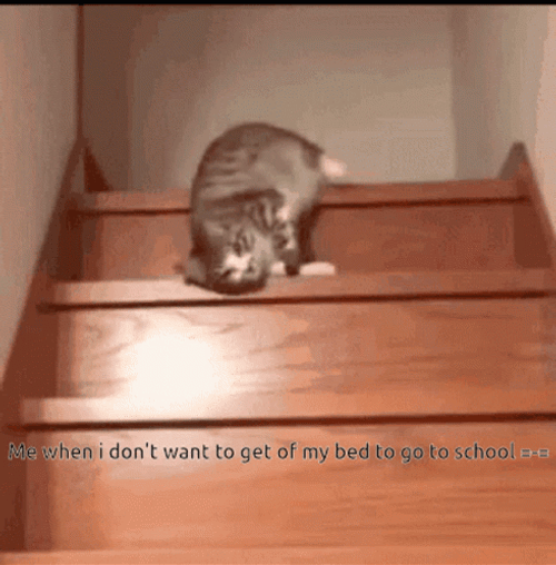 Can Lazy To Come Down GIF