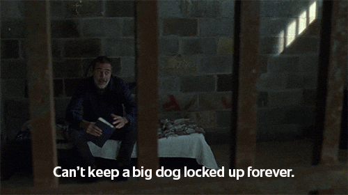 Can't Keep Big Dog Locked Up Forever GIF