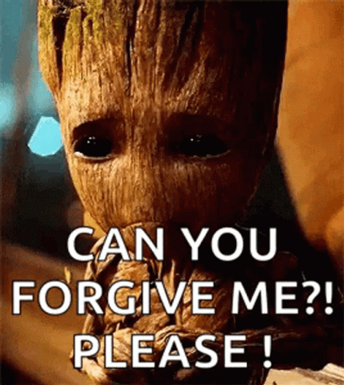 Can You Forgive Me Please GIF