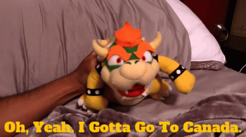 Gotta Go To Canada Super Mario Bowser Puppet GIF