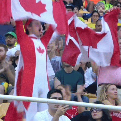Team Canada Fans Celebrating Waving Flag GIF