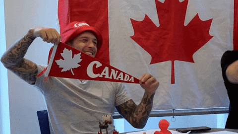 Canada Day Canadian Hand Flag Wave GIF