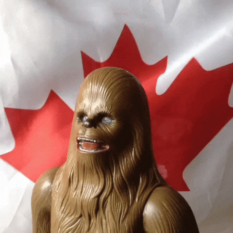 Canada Day Chewbacca Star Wars Meme GIF