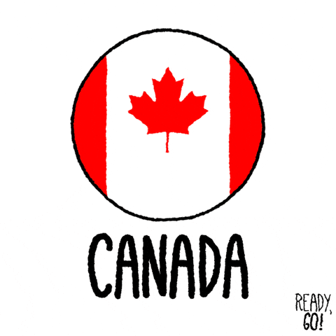 Canada Day Jumping Beaver Digital Creation GIF