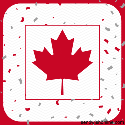 Canada Day Maple Leaf Confetti Flying GIF
