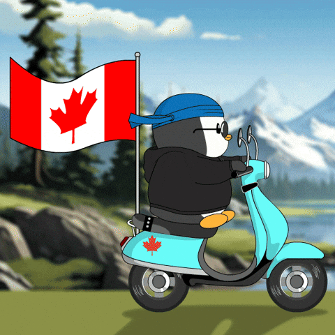 Canada Day Pudgy Penguin Bike Ride GIF