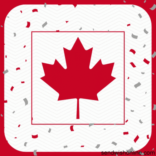 Canada Maple Leaf Confetti Design GIF