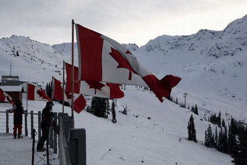 Canadian Flag Flying in Wind and Snow
