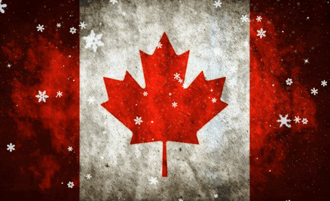 Canadian Flag With Red Maple Leaf GIF