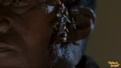 Candyman Day Of The Dead GIF