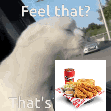 Cane's Chicken Sandwich and Cane's Soda