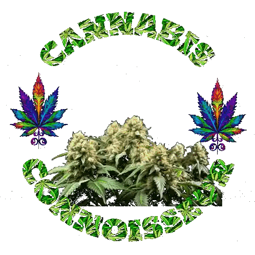 Cannabis Connoisseur Logo With Marijuana Plant