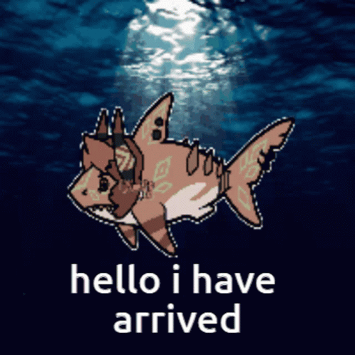 Canojar Shark Hello I Have Arrived GIF